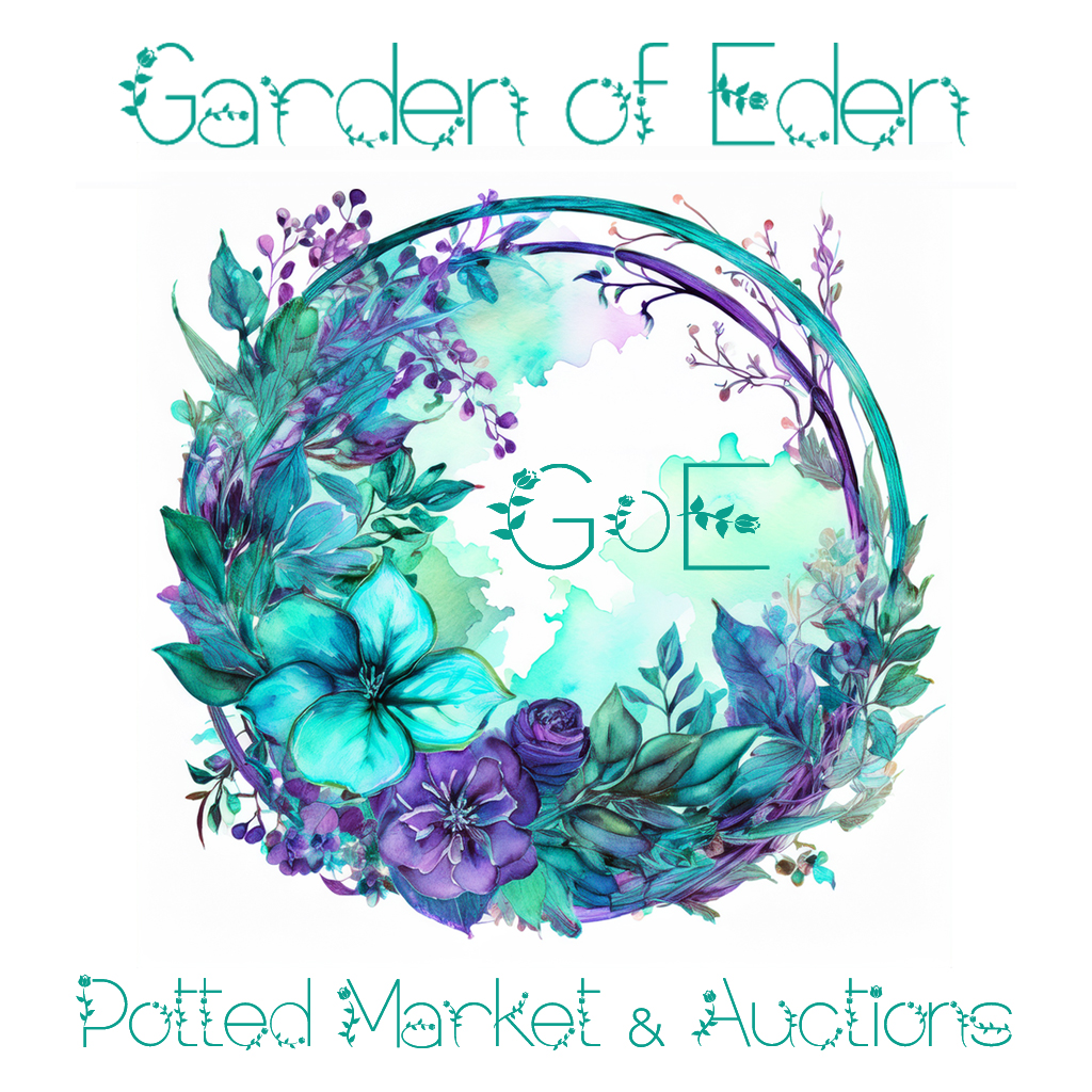 Garden of Eden